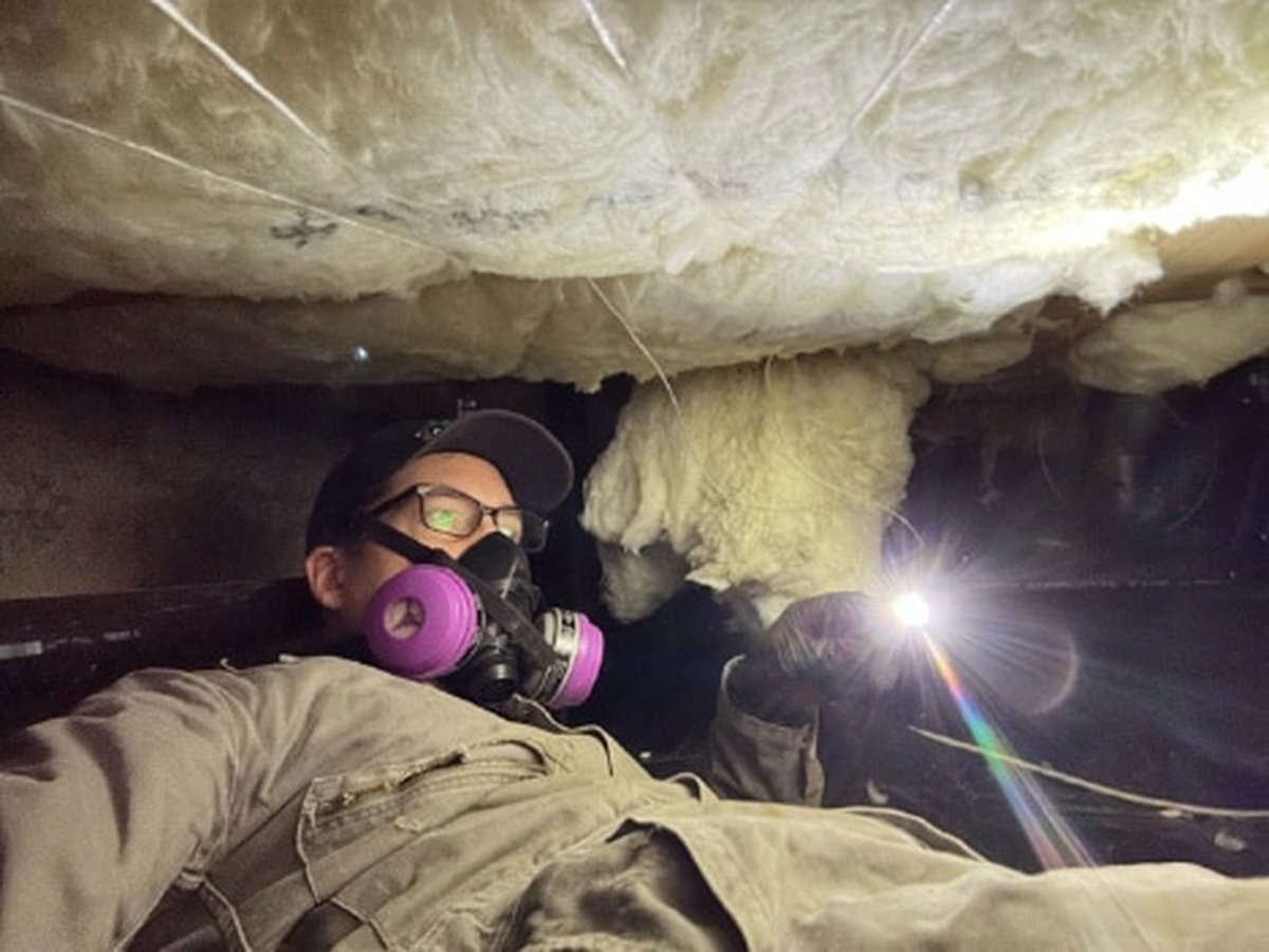 Technician working inside a crawl space during a rodent control service in Memphis, TN