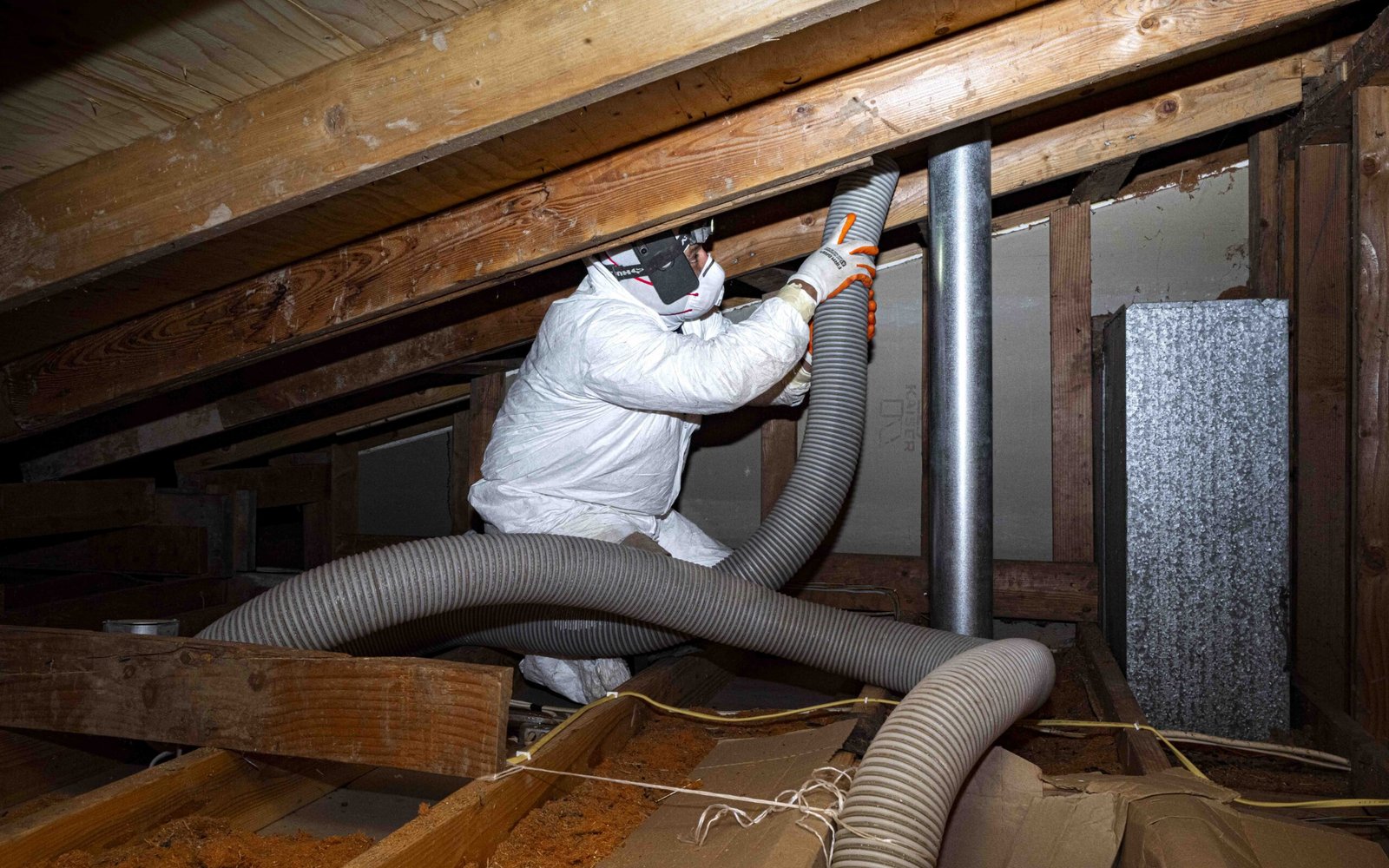 Rodent Control in Memphis, TN